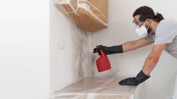 Professional Crawl Space Mold Removal technician working in Port Reading, NJ