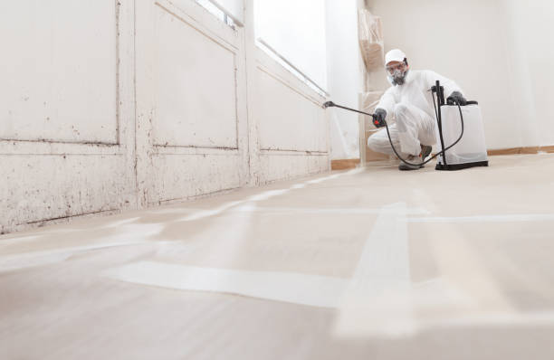 24/7 Emergency Crawl Space Mold Removal experts in Port Reading, NJ